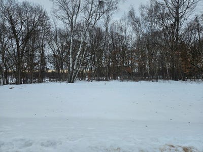 /international/us/2-1-2-avenue-ne-lot-2-block-3-saint-stephen-mn-110104815549/