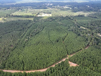 /international/us/t-1-provencal-vowell-mills-rd-natchitoches-la-110101694676/