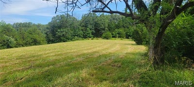 /international/us/6890-highway-185-beaufort-mo-110098930990/