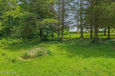 /international/us/buck-brown-st-englewood-tn-110110254340/