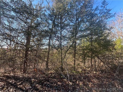 /international/us/lot-255-toronto-lane-rocky-mount-mo-110096893291/?lang=en