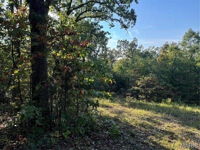 /international/us/0-lot-6b-lakeview-drive-perryville-mo-110094824720/?lang=zh-cn