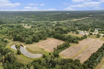 /international/us/30-acres-madison-road-hart-mi-110094069973/