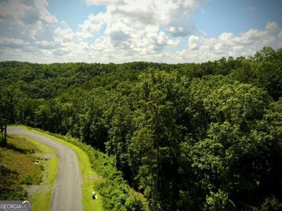 /international/us/79-river-overlook-ellijay-ga-110101122648/?lang=zh-cn