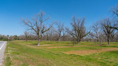 /international/us/0-us-highway-19-leesburg-ga-110100970598/?lang=zh-cn