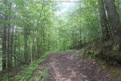 /international/us/off-rt-16-road-ivydale-wv-110101867317/