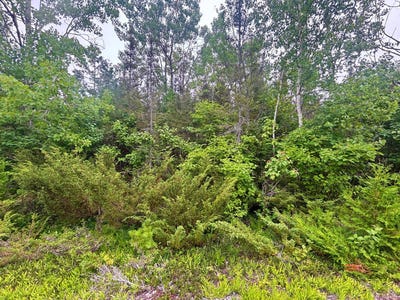 /international/us/misty-morning-court-lot-41-presque-isle-mi-110101256191/?lang=en