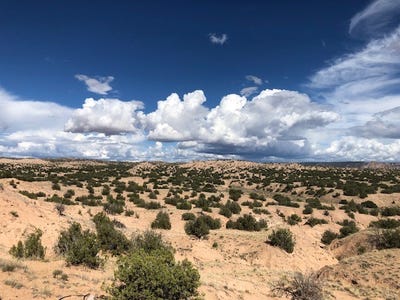 /international/us/lot-47-private-drive-1614a-medanales-nm-110087494872/