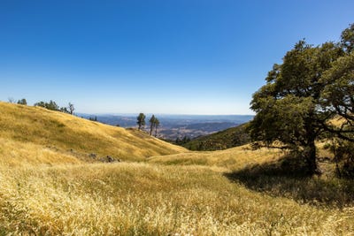 /international/us/pine-flat-rd-healdsburg-ca-110101873150/