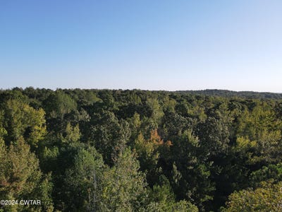 /international/us/0-mt-gilead-road-cedar-grove-tn-110096233745/