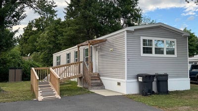 /international/us/21-tiger-lilly-port-jervis-ny-110109510842/