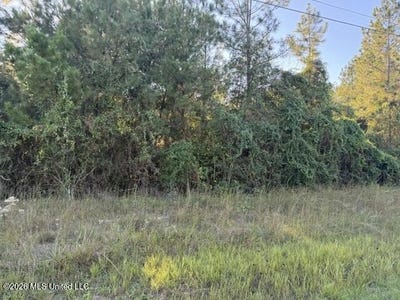 /international/us/w-wortham-road-lot-18-saucier-ms-110120725869/