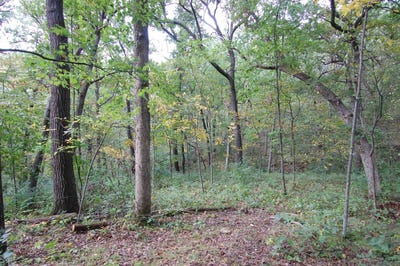 /international/us/17-63-acres-biglow-hill-road-avoca-wi-110087639919/