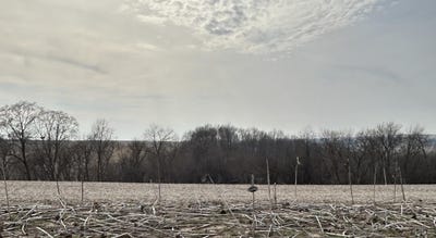 /international/us/lot-28-ridge-point-estates-mineral-point-wi-110102473265/