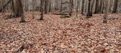 /international/us/164-mountain-view-dr-1007-pocono-lake-pa-110102531451/