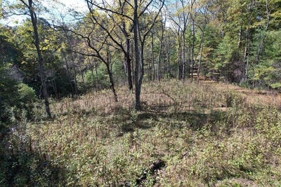 /international/us/byllesby-road-ivanhoe-va-110120528793/