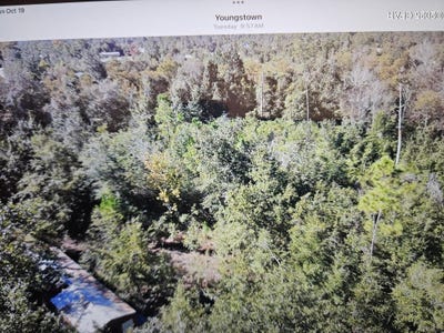 /international/us/9110-oakridge-lane-youngstown-fl-110103569699/