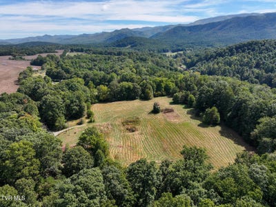/international/us/250-bill-martin-road-afton-tn-110120118973/