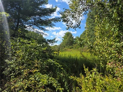 /international/us/frog-hollow-road-painted-post-ny-110104848616/