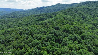 /international/us/0000-lick-creek-lane-lafollette-tn-110098759792/?lang=zh-tw