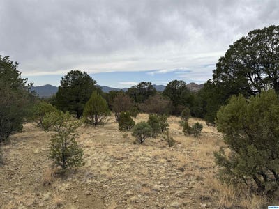 /international/us/nikki-s-road-silver-city-nm-110098788721/?lang=zh-tw