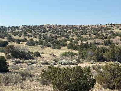 /international/us/tbd-fort-defina-abiquiu-nm-110100204602/?lang=zh-cn