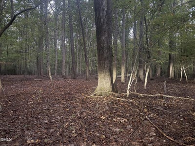 /international/us/dark-oaks-pittsboro-nc-110120119769/
