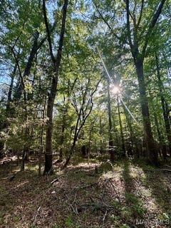 /international/us/0-sherling-lake-road-greenville-al-110098885019/