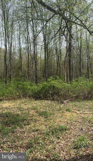 /international/us/319-lambertville-hopewell-road-lambertville-nj-110108294763/
