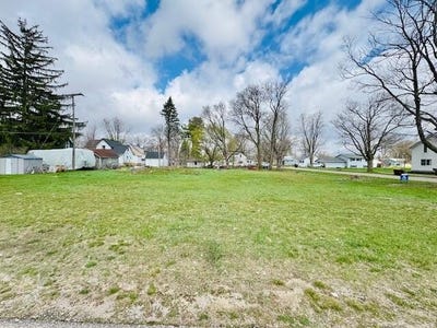 /international/us/ionia-street-lot-1-lake-odessa-mi-110086214678/