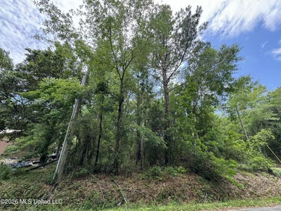 /international/us/dicks-street-waveland-ms-110107613814/