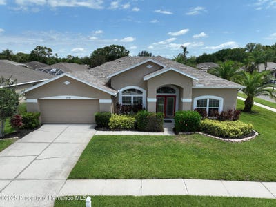 /international/us/22316-red-jacket-land-o-lakes-fl-110100052793/?lang=zh-tw