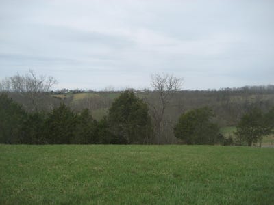 /international/us/n-rays-fork-road-sadieville-ky-110106677030/