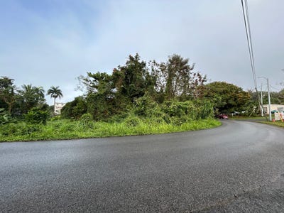 /international/pr/70-calle-villa-locura-anasco-anasco-110105833949/