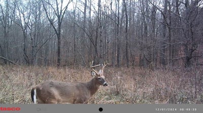 /international/us/0-highway-431-drakesboro-ky-110097875954/