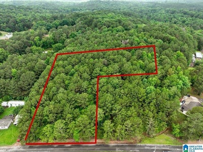 /international/us/thornton-lake-road-lot-1-dora-al-110108855052/