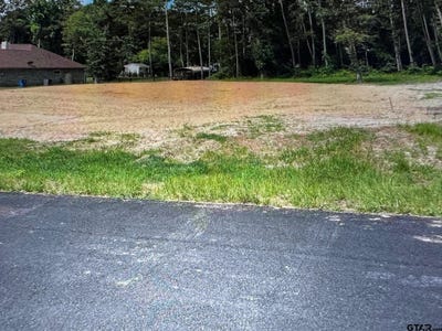 /international/us/209-peachtree-ln-big-sandy-tx-110098129051/