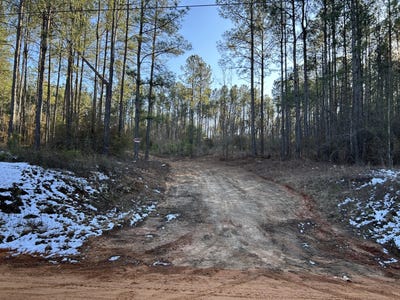 /international/us/3229-keysville-boggs-academy-road-keysville-ga-110107937018/
