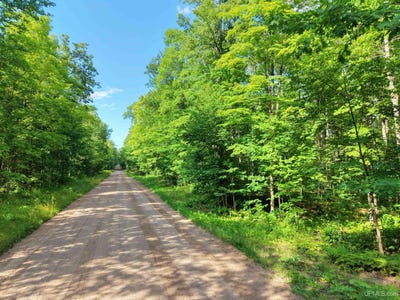 /international/us/s-laird-road-pelkie-mi-110119523044/