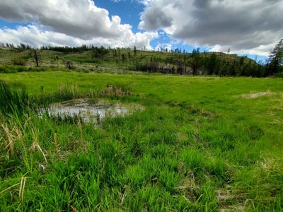/international/us/570x-tunk-creek-road-riverside-wa-110078229605/