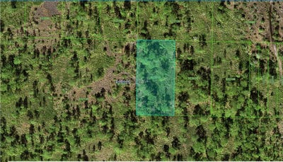 /international/us/31-32-11-000000-022010-river-ranch-boulevard-lake-wales-fl-110101220737/
