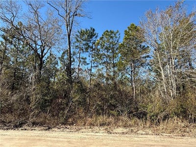 /international/us/0-lot-3-elmer-thrift-road-waycross-ga-110097090296/?lang=en