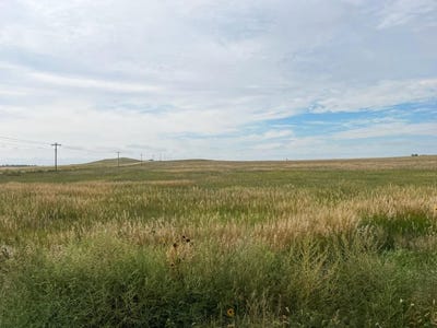/international/us/cheyenne-county-crp-north-potter-ne-110102403878/