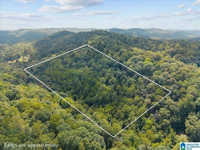 /international/us/cliff-road-lot-0-springville-al-110110350783/