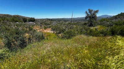 /international/us/6360-eagleview-drive-mountain-ranch-ca-110092000561/