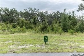 /international/us/1417-oxford-preserve-trail-oxford-fl-110108843781/