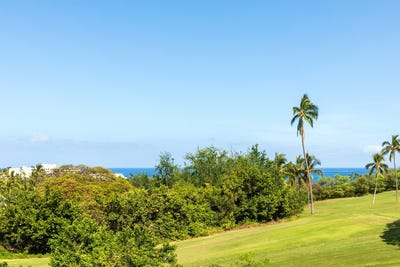 /international/us/78-7030-alii-dr-kailua-kona-hi-110107932007/