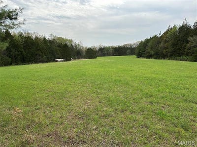 /international/us/0-butcher-branch-road-unincorporated-mo-110098910753/
