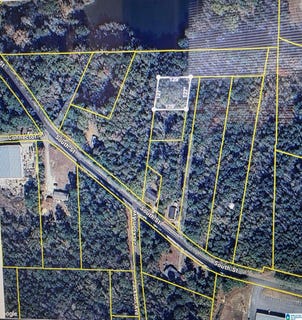 /international/us/south-street-lot-0-roanoke-al-110108573435/
