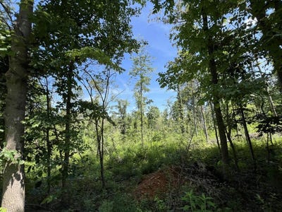 /international/us/3772-e-new-roe-road-adolphus-ky-110101261070/